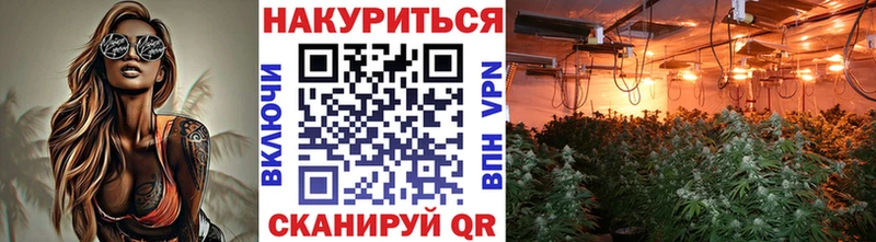 Купить наркотики сайты Валдай Канабис  КОКАИН  МЕФ 