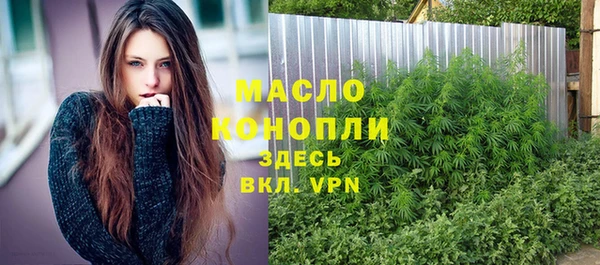 шишки Арсеньев
