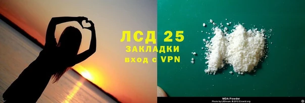 шишки Арсеньев