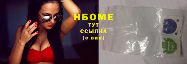шишки Арсеньев