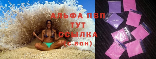 стафф Алексин