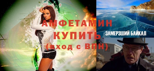 шишки Арсеньев