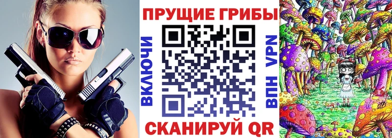Галлюциногенные грибы Cubensis Валдай